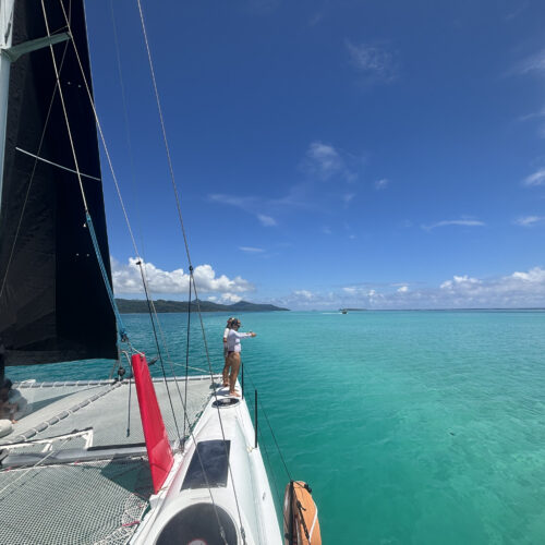 sailing in the blue