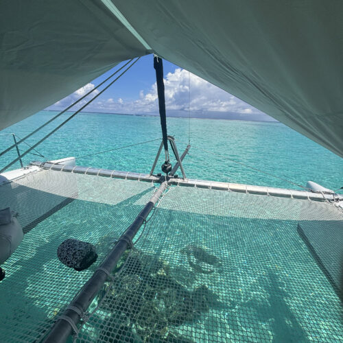 eau turquoise du lagon - Sailinity - Excursions à la voile entre Raiatea et Taha'a Eau Turquoise Du Lagon Sailinity Excursions à La Voile Entre Raiatea Et Tahaa