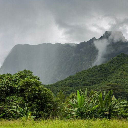 Raiatea-Sailinity - Sailinity - Excursions à la voile entre Raiatea et Taha'a Raiatea sailinity Sailinity Excursions à La Voile Entre Raiatea Et Tahaa