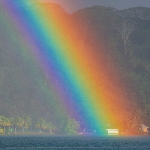 arc-en-ciel-2-Sailinity - Sailinity - Excursions à la voile entre Raiatea et Taha'a Arc en ciel 2 sailinity Sailinity Excursions à La Voile Entre Raiatea Et Tahaa