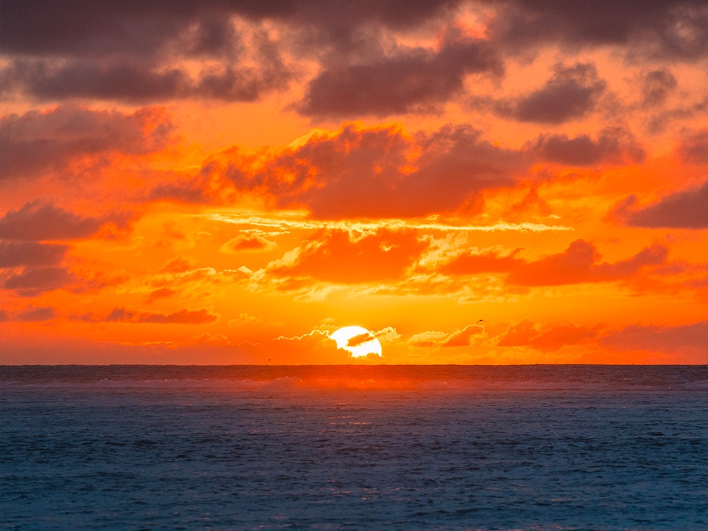coucher-de-soleil-Sailinity - Sailinity - Excursions à la voile entre Raiatea et Taha'a Coucher de soleil sailinity Sailinity Excursions à La Voile Entre Raiatea Et Tahaa