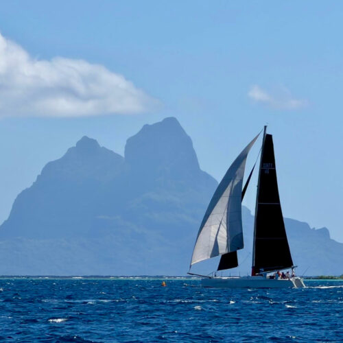 Vignette tour adrénaline   Sailinity Excursions