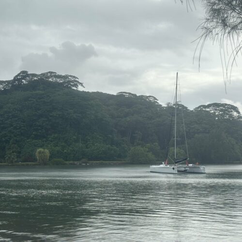 IMG_4388 - Sailinity - Excursions à la voile entre Raiatea et Taha'a Img 4388 Sailinity Excursions à La Voile Entre Raiatea Et Tahaa