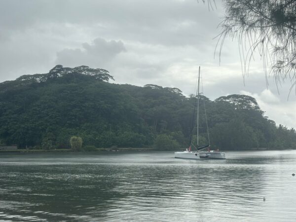 IMG_4388 - Sailinity - Excursions à la voile entre Raiatea et Taha'a Img 4388 Sailinity Excursions à La Voile Entre Raiatea Et Tahaa