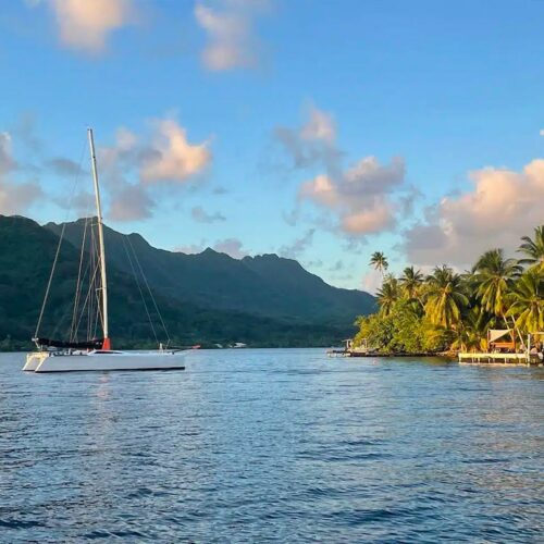 image - Sailinity - Excursions à la voile entre Raiatea et Taha'a Image Sailinity Excursions à La Voile Entre Raiatea Et Tahaa