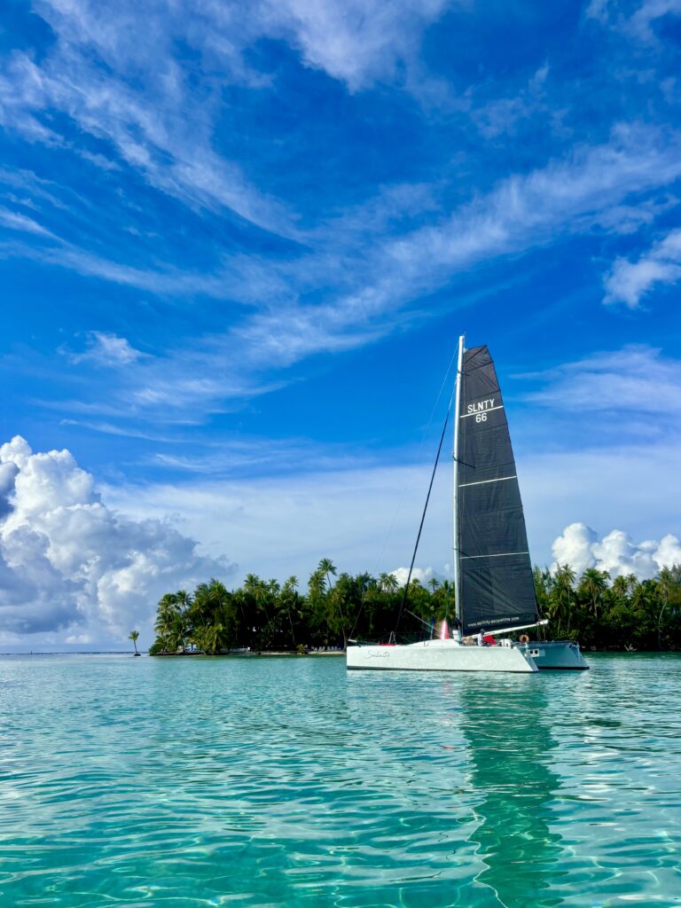 Sailboat with a tall dark sail on turquoise water near a palm-lined tropical shoreline under a clear blue sky.